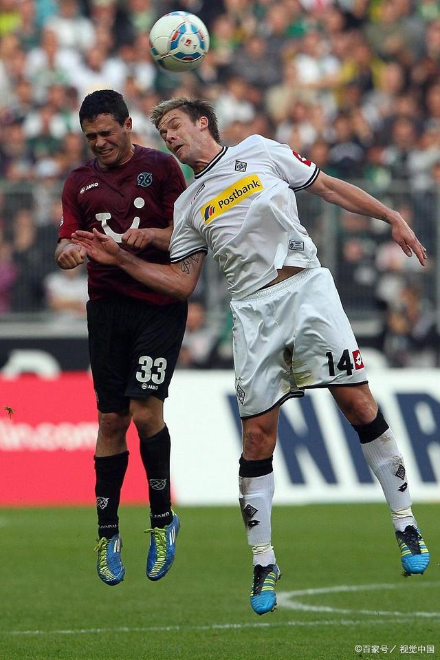 提供了更多 提供了更多