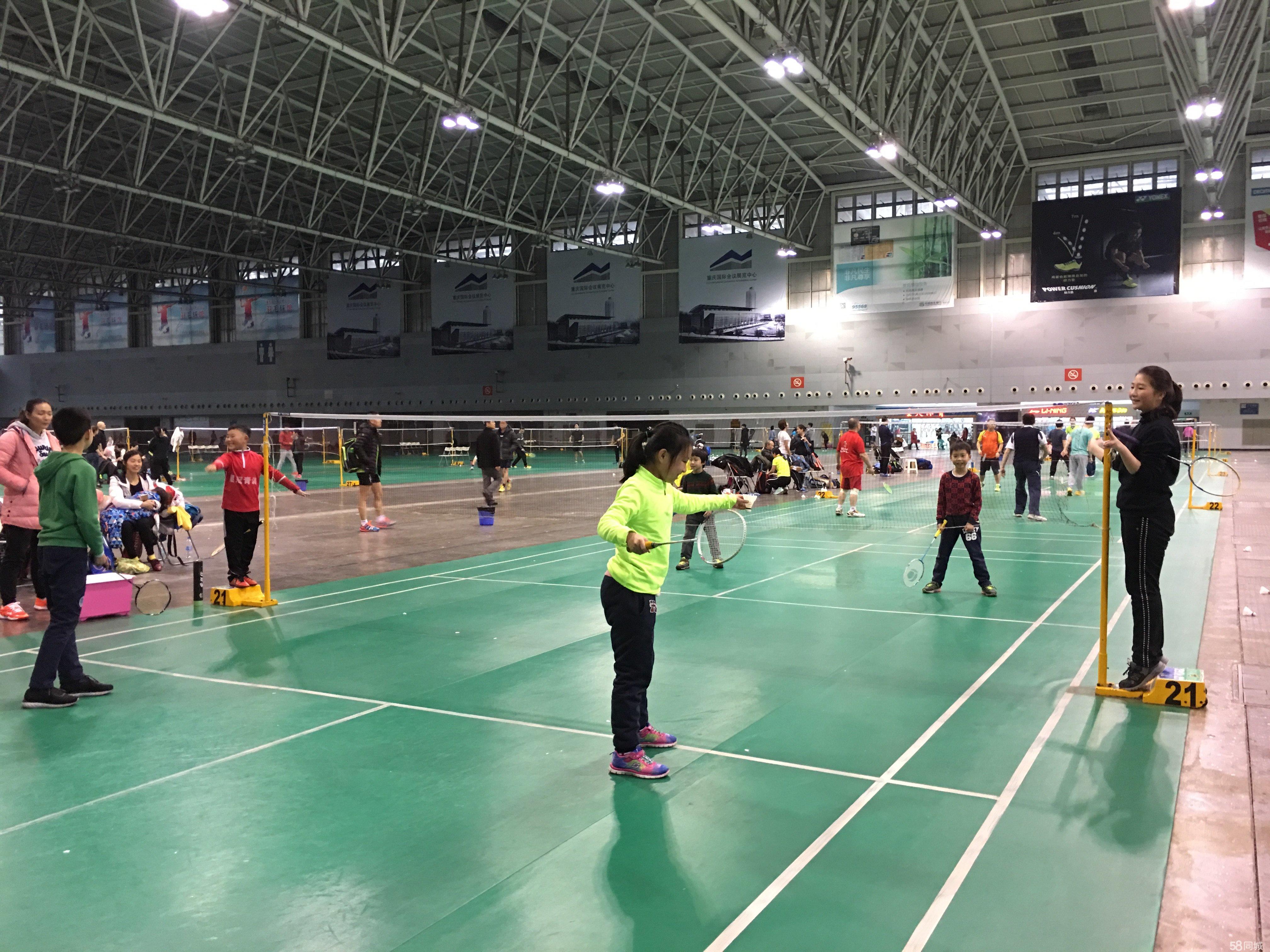 裁判与团队 裁判与团队