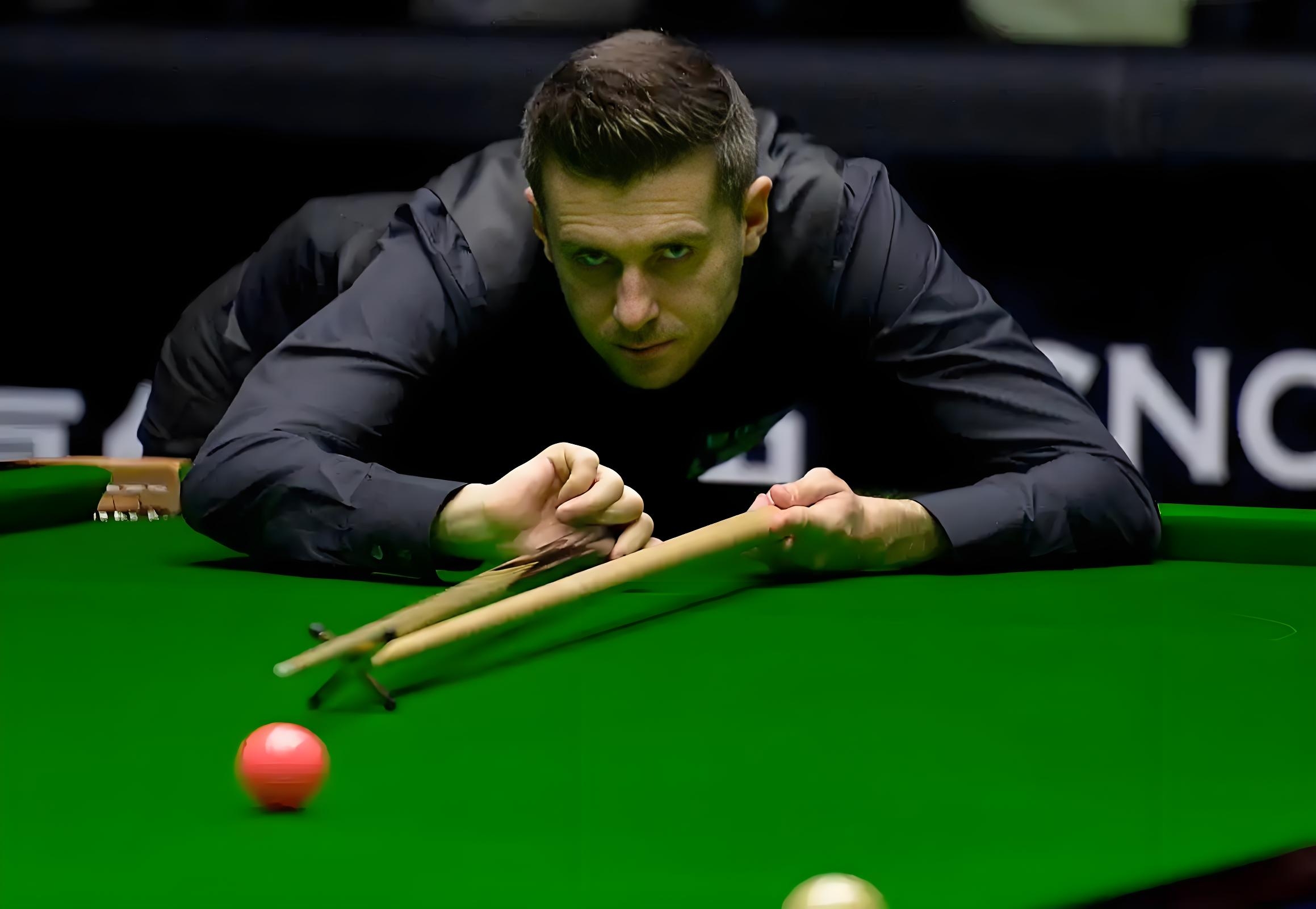 海牛在少人 海牛在少人